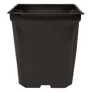 5'' x 5'' x 4.5'' Square 1.25qt Square Pot