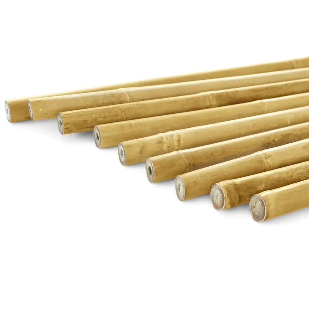 A&G 5/8"x5' Bamboo Stake - Image 2