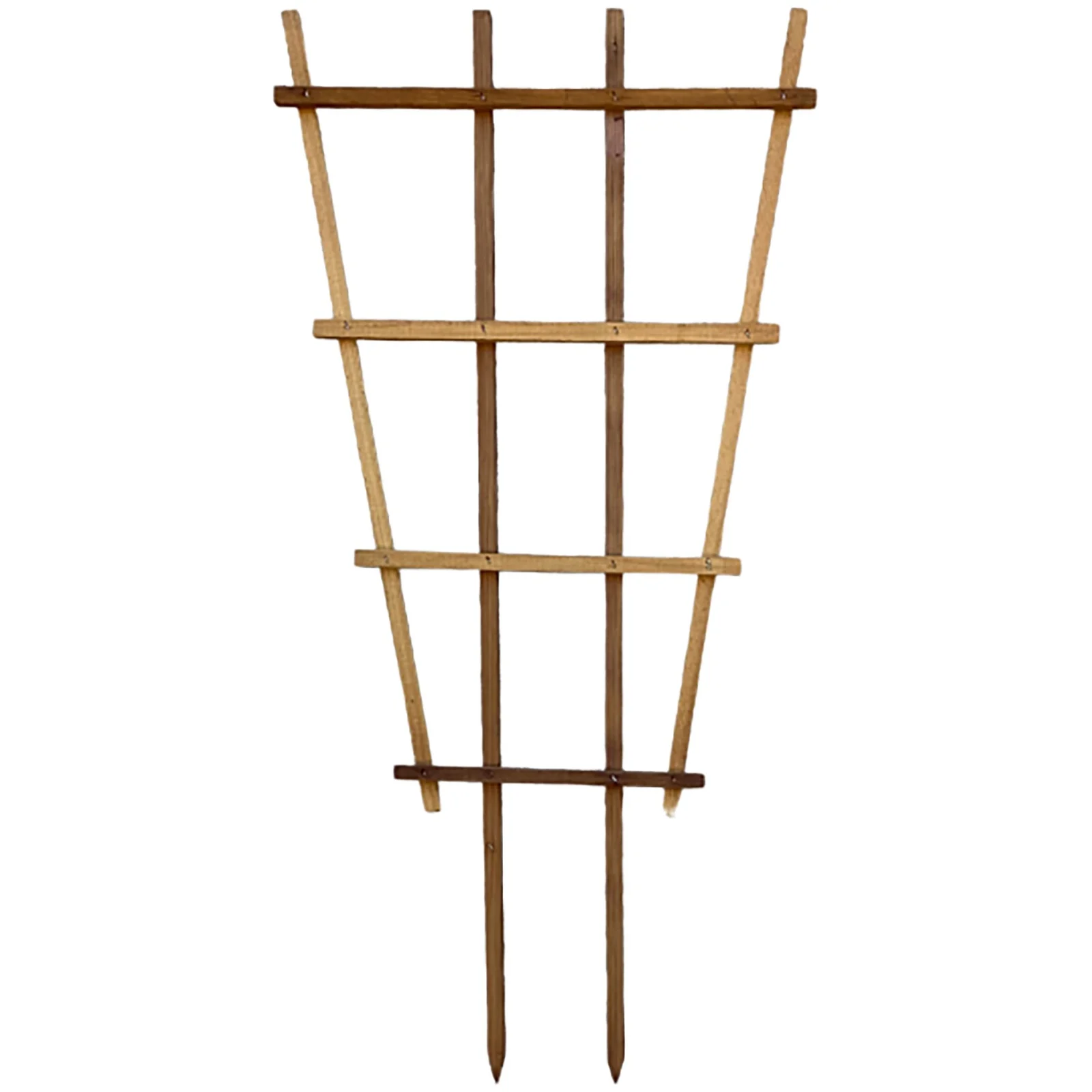 A&G Agricultural A&G 2'x4' Fan Espalier Trellis - Image 2