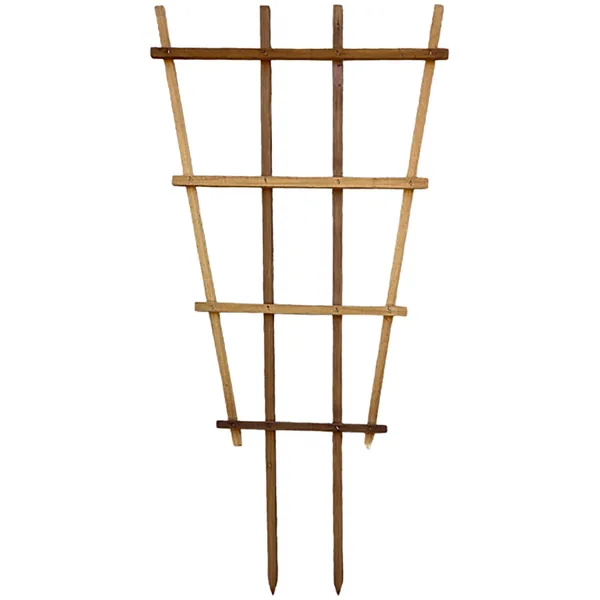 A&G Agricultural A&G 2'x4' Fan Espalier Trellis