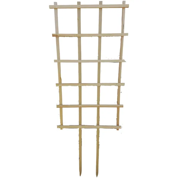 A&G Agricultural A&G 22"x40" Espalier