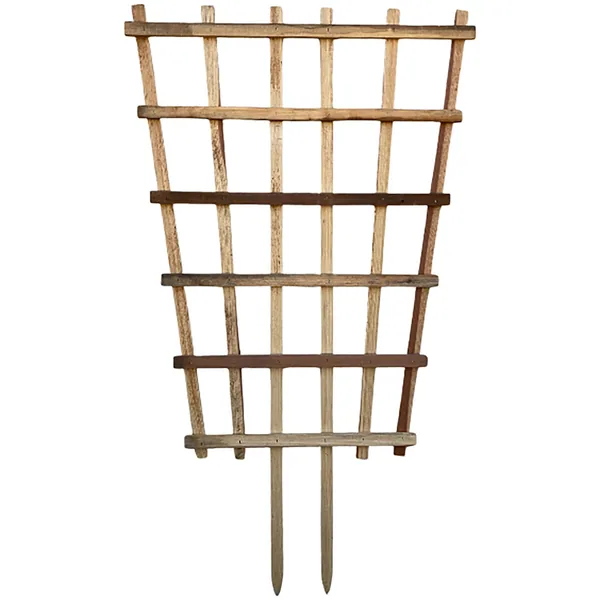 A&G Agricultural A&G 3.5'x6' Heavy Duty Fan Espalier Trellis