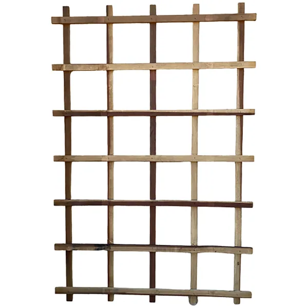 A&G Agricultural A&G 4'x6' Heavy Duty Ladder Trelis
