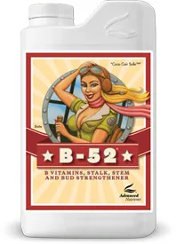 Advanced Nutrients B-52 Supplement