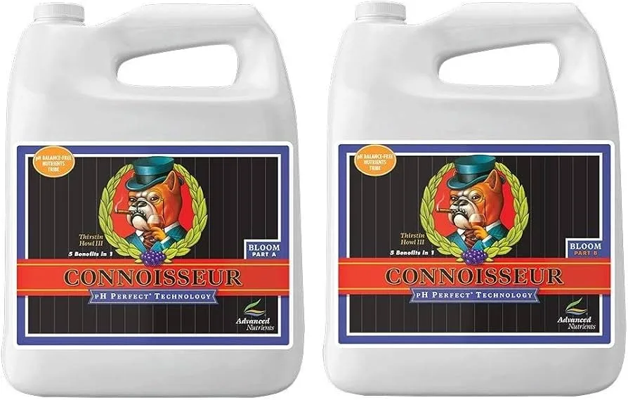 PH Perfect Connoisseur Bloom A - Image 2