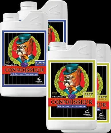 PH Perfect Connoisseur Bloom A