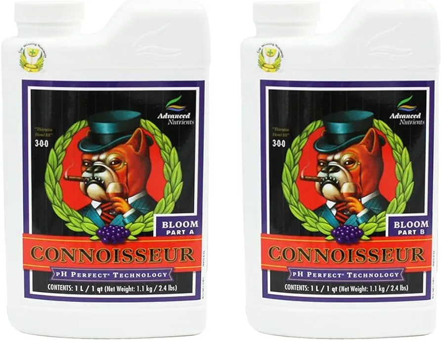 PH Perfect Connoisseur Bloom B - Image 2