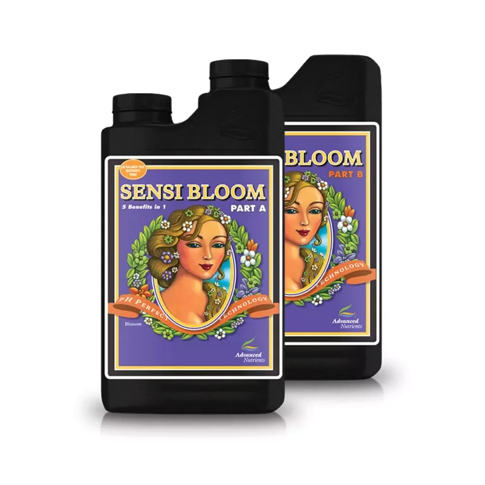 PH Perfect Sensi Bloom A - Image 2