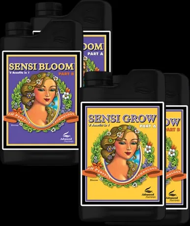 PH Perfect Sensi Bloom B
