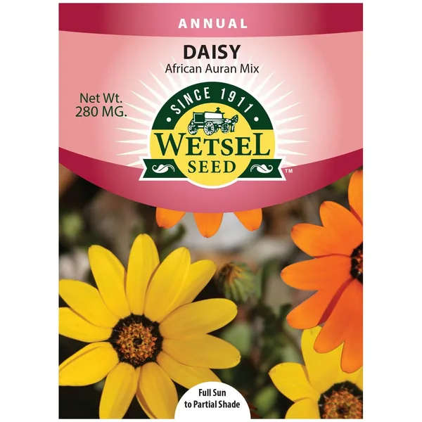 African Daisy Aurantiaca Mix 280mg