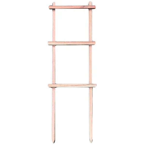 A&G 12"x22" Espalier Natural - Image 2