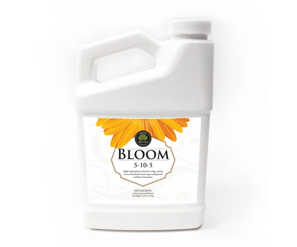 Age Old Bloom