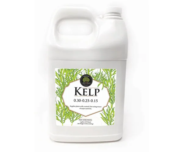 Age Old Kelp
