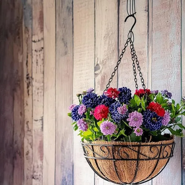 AGW 16" Hanging Basket with Coco Liner and Chain Black - Image 2