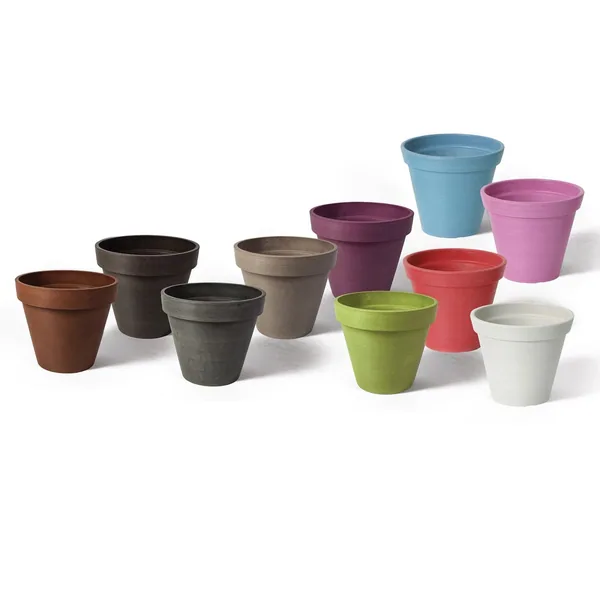 Algreen 12pc Valencia 10x8" Round Multi Color Assortment
