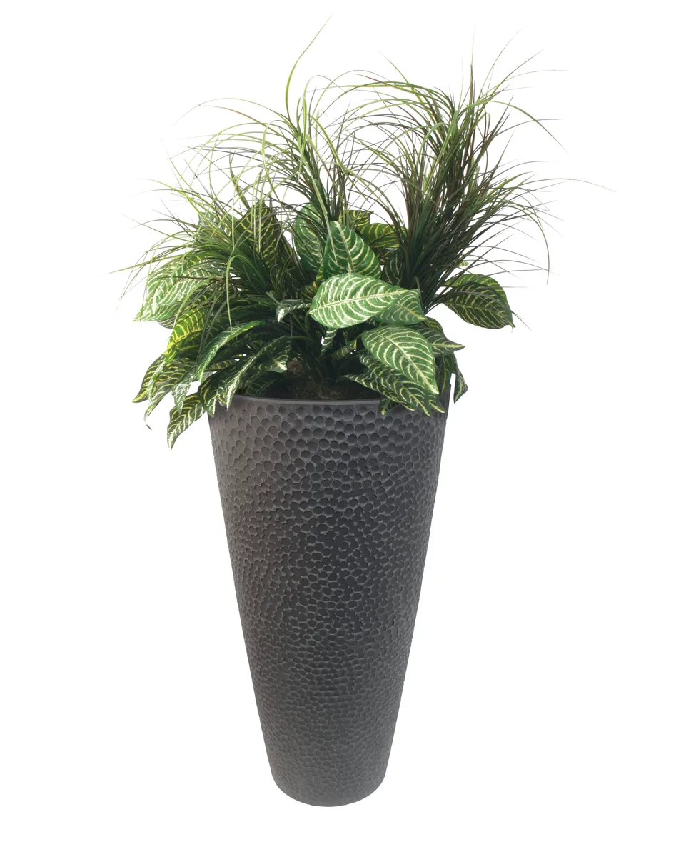 Algreen Valencia 28" Hammered - Image 2