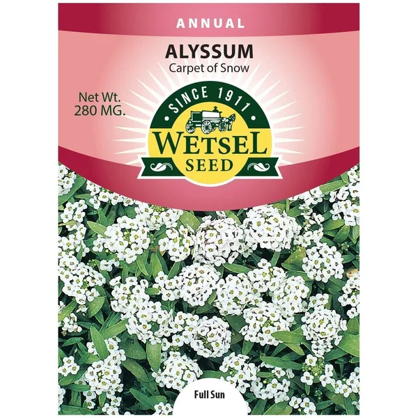 Alyssum, Carpet Of Snow 280mg