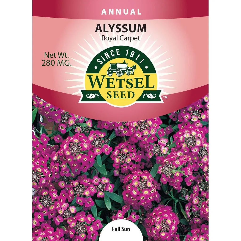 Alyssum, Royal Carpet 280mg - Image 2