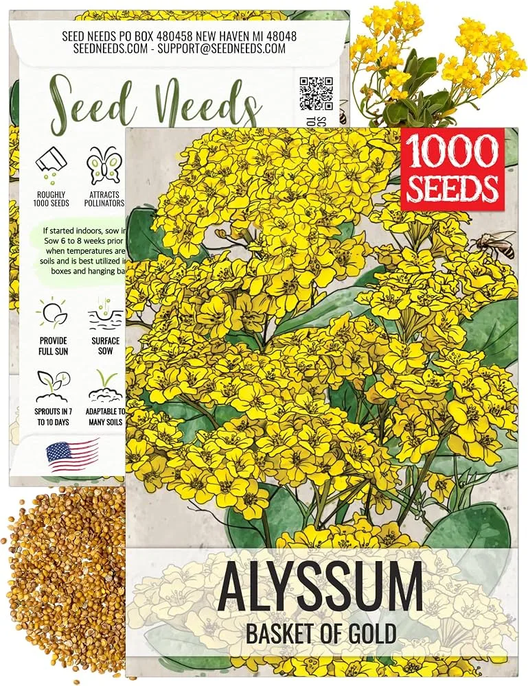 Alyssum, Saxatile Yellow 280mg - Image 2