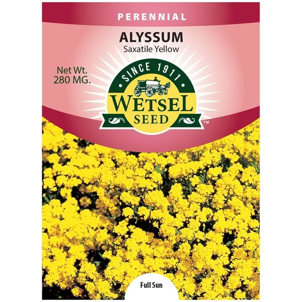 Alyssum, Saxatile Yellow 280mg
