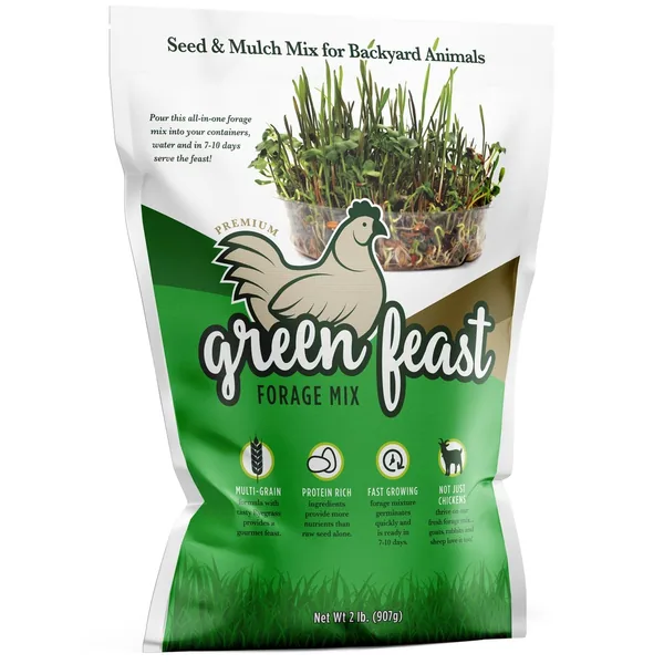 Amturf 2 lbs Green Feast Chicken Forage Seed Mix