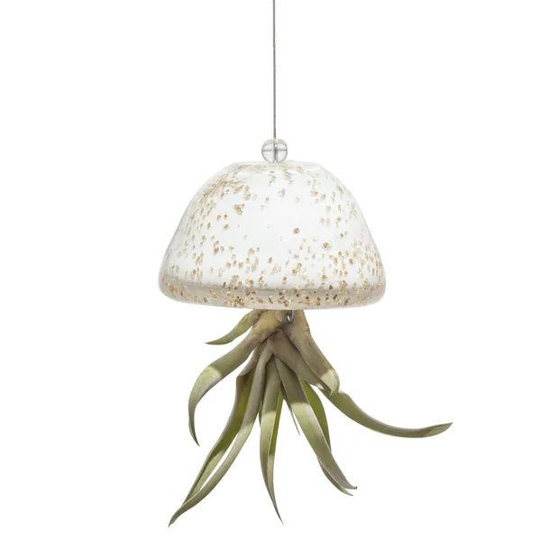 APM Air Plant Jellyfish White/Gold
