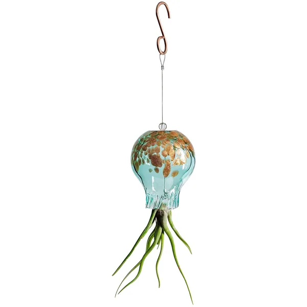 APM Air Plant Octopus Lake Green