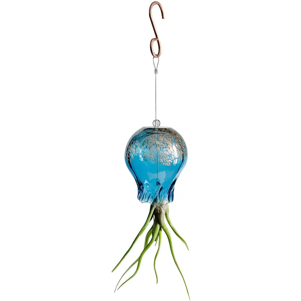 APM Air Plant Octopus Yellow Orange