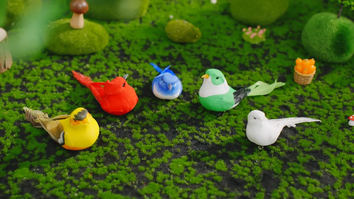 APM Assorted Bird - Image 2