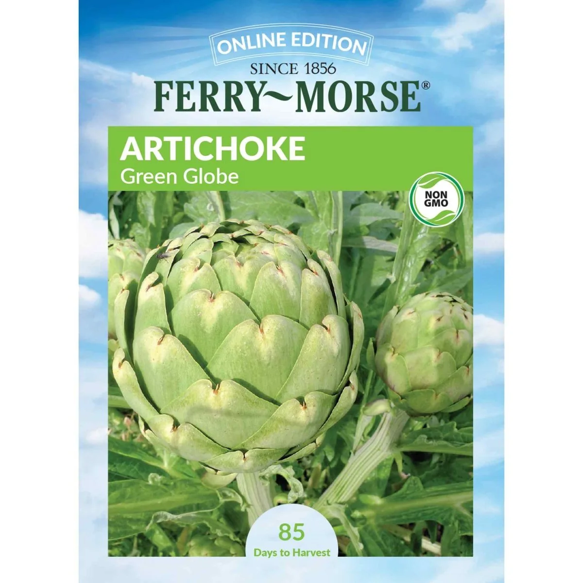 Artichoke, Green Globe 1.35 Grams - Image 2