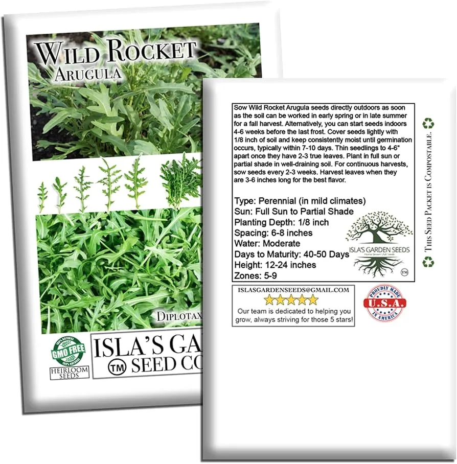 Arugula, Rocket 1000 Seed Count - Image 2