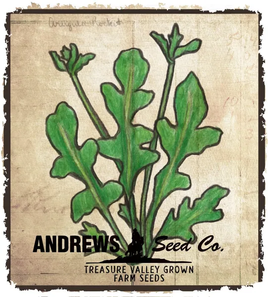 Arugula, Rocket 1lb
