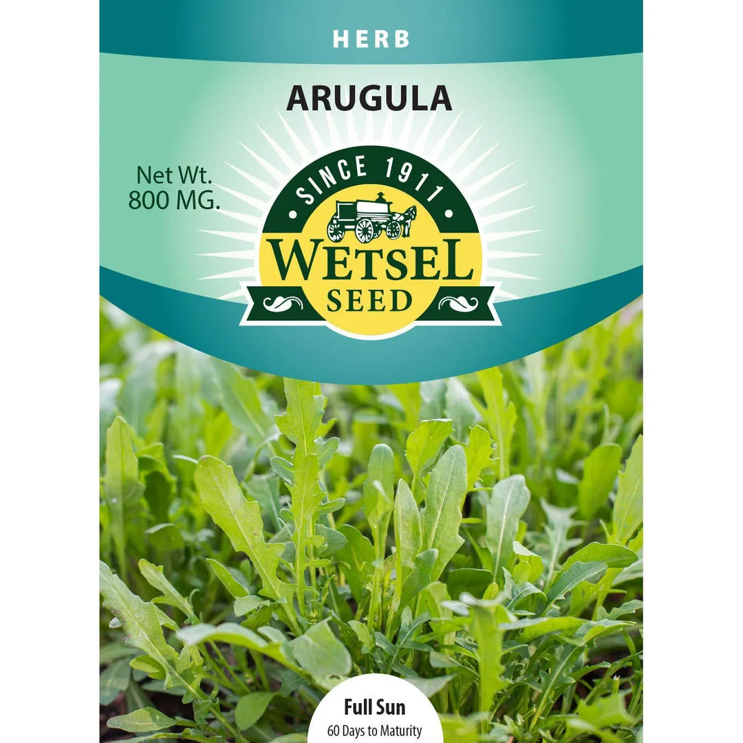 Arugula, Rocket Organic 800mg - Image 2