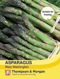 Asparagus, Mary Washington 1/2oz
