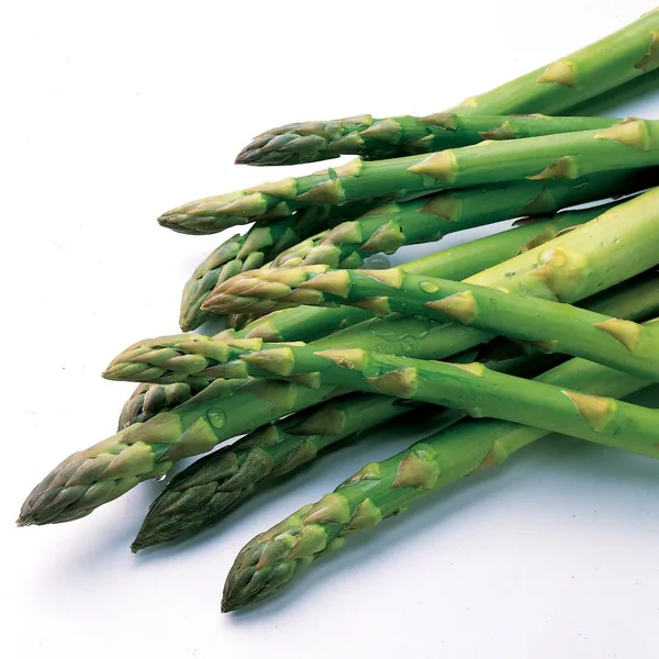 Asparagus, Purple Passion 25 BD