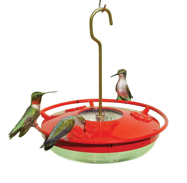 Aspects 8oz HummZinger High View Mini Feeder