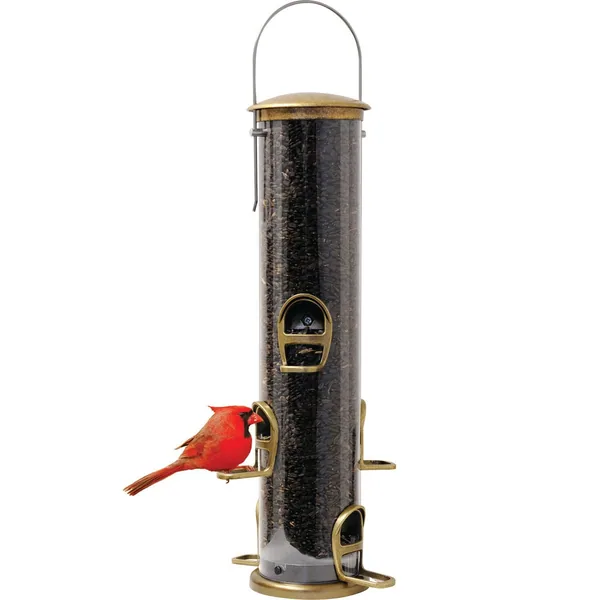 Aspects Antique Brass Quick Clean Big Tube Feeder