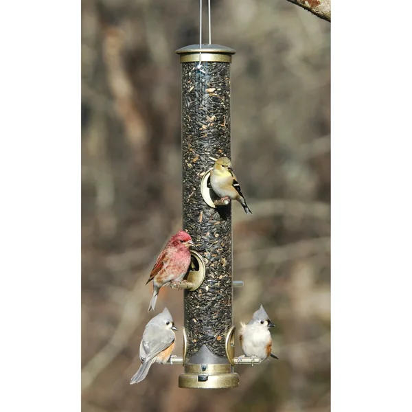 Aspects Antique Brass Seed Tube Feeder Quick Clean