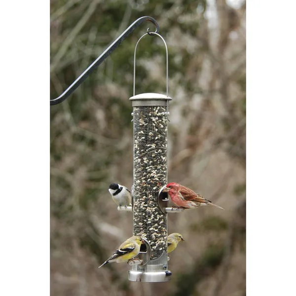 Aspects Brushed Nickel Seed Tube Feeder Quick Clean