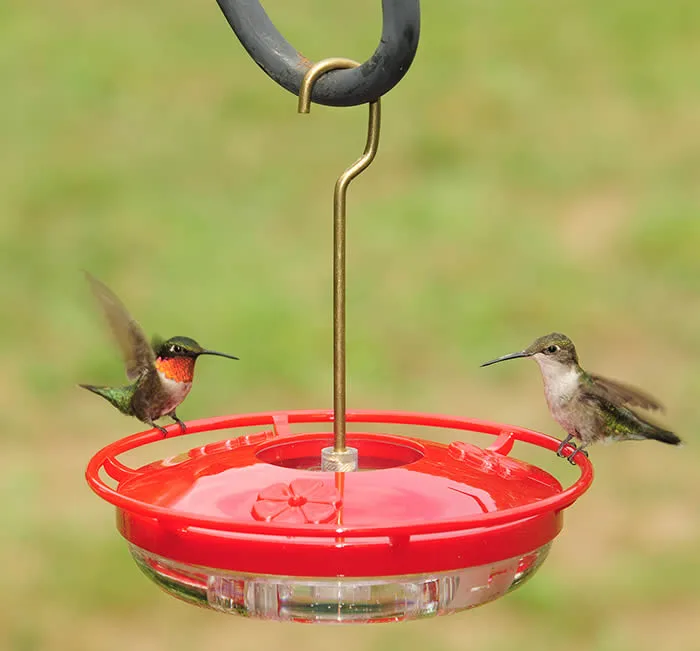 Aspects HighView Hummingbird Feeder - Image 2