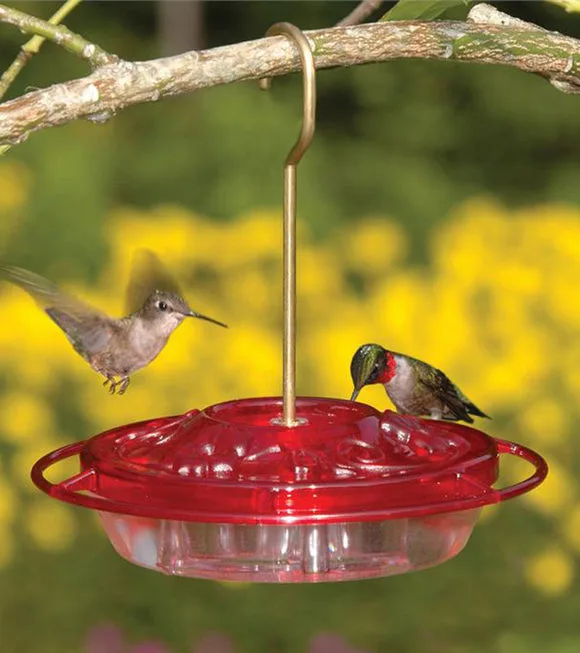 Aspects Little Fancy Rose 8oz Hummingbird Feeder - Image 2