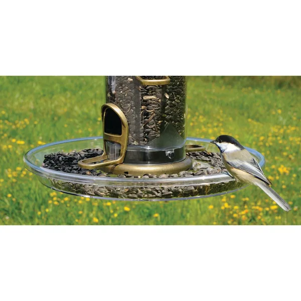 Aspects Quick Clean Bigfoot Seed Tray