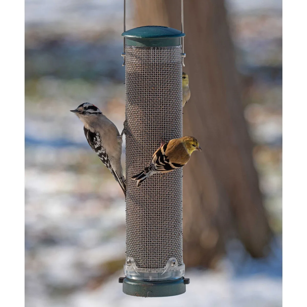 Aspects Quick Clean Spruce Nyjer Mesh Feeder - Image 2