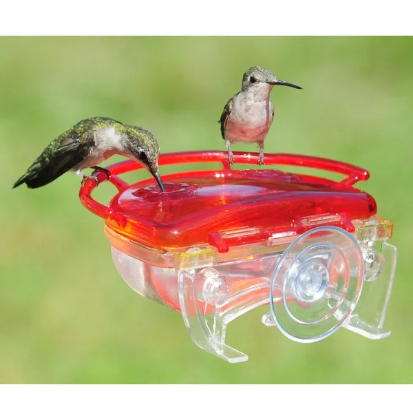 Aspects The Gem Window Hummingbird Feeder