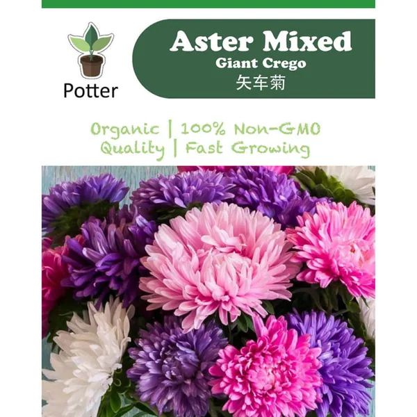 Aster, Crego Mixed Lbs