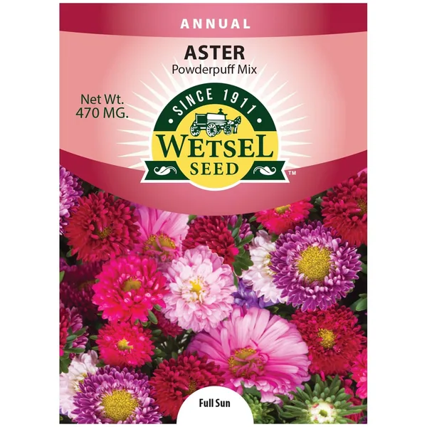 Aster, Powderpuff 470mg