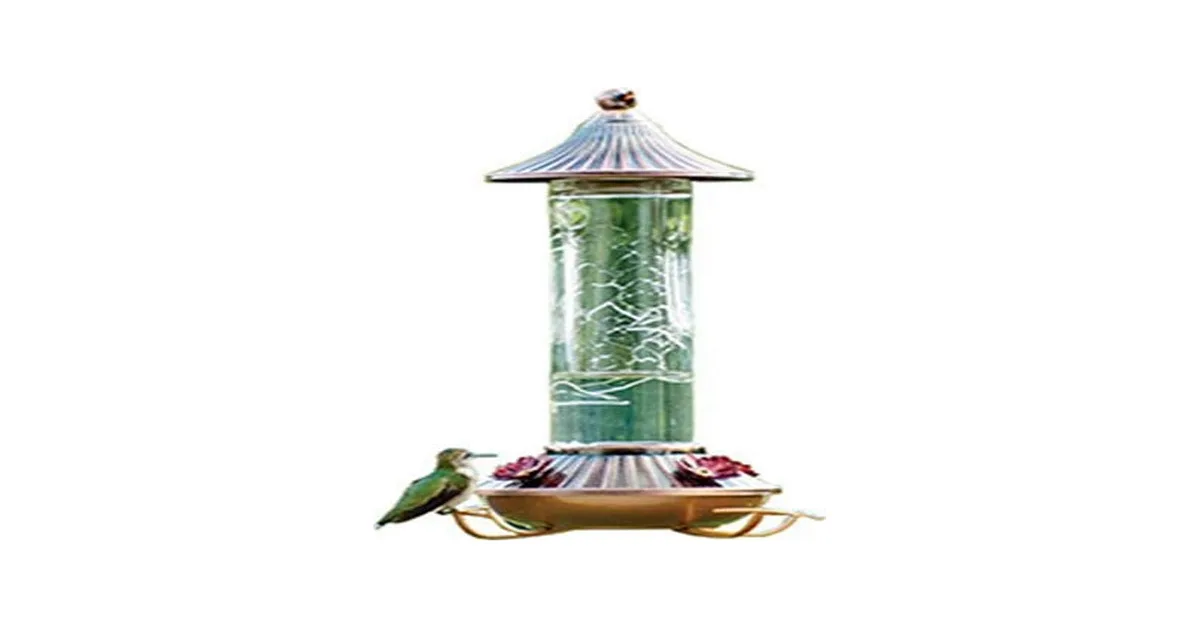 Audubon 14oz Embossed Glass Hummingbird Feeder - Image 2