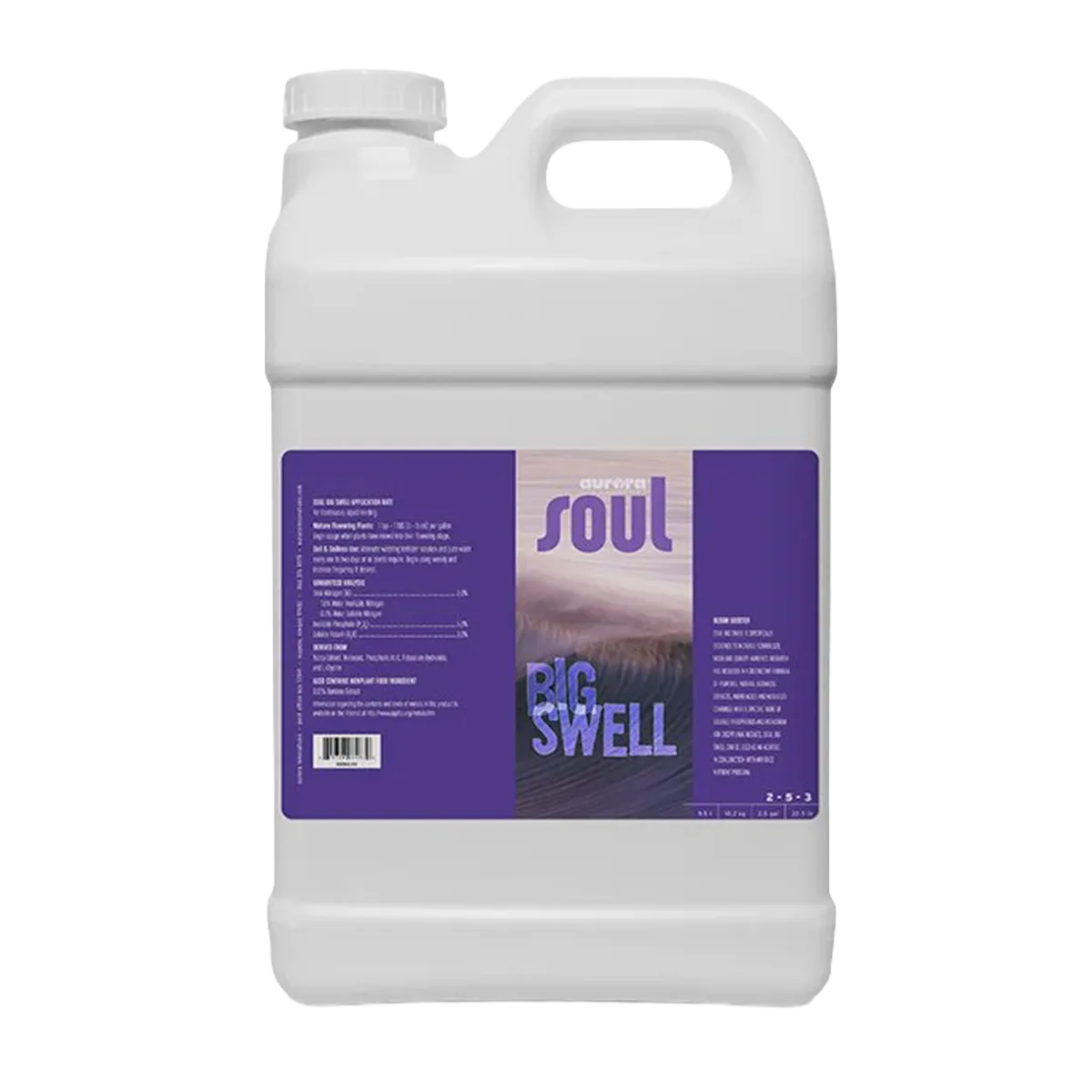 Soul Big Swell 32oz - Image 2