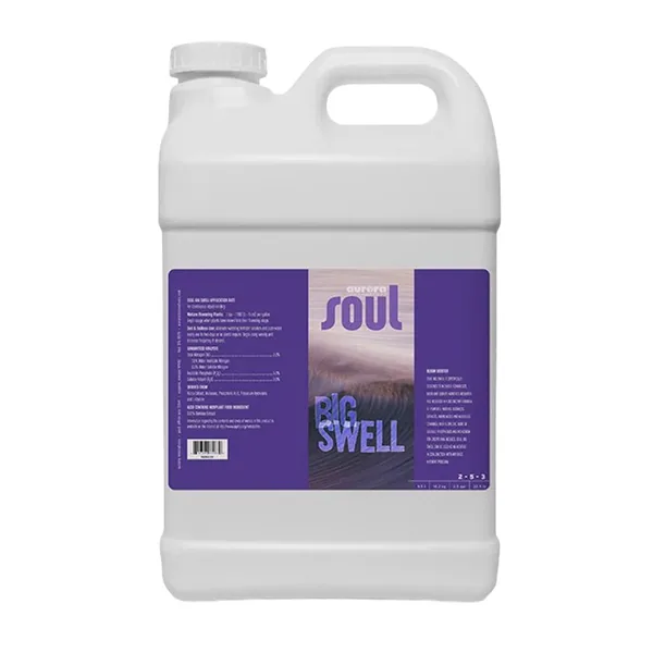 Soul Big Swell 32oz