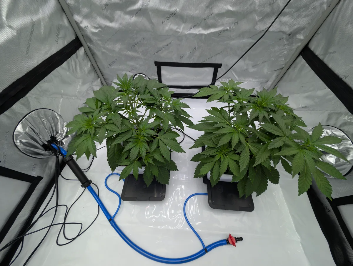 2.2 Gallon Pot White - Image 2